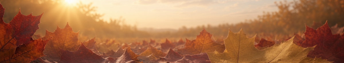 Autumn Fragrances